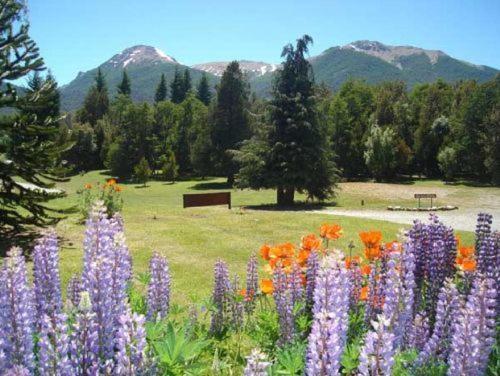 Unquehue Apartamentos Dormis Villa La Angostura Bagian luar foto